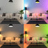 Bulbs 10W Bulb 5000k (2 Pack) Vgogfly RGB Led Light Color Changing Light with Remote Control Daylight White Remove