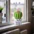 AIVCQZE Appreciation Gifts for Teacher,Handmade Knitted Cactus Thank You for Helping Me Grow,Teacher's Birthday Thank