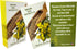 Westmon Works Mustard Seed Holy Card Bulk Bundle Pack Faith Can Move