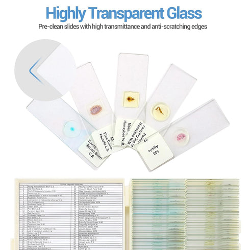120 Microscope Slides with Specimens for Kids, Prepared Slides for Microbiology