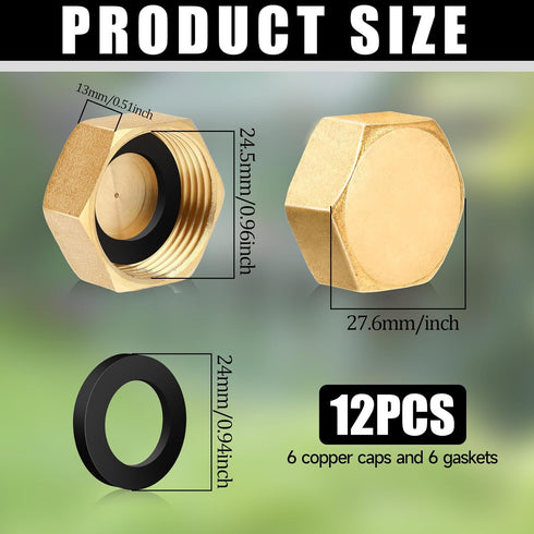 6 Pcs Brass Blanking Nut Cap, 3/4" Female Stop Cap with Washers for Plumbing Fittings