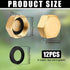6 Pcs Brass Blanking Nut Cap, 3/4" Female Stop Cap with Washers for Plumbing Fittings
