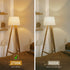 BORT ST58/ST19 Vintage LED Edison Bulbs, Warm White 2700K, Dimmable 6W Edison Light Bulbs, 60W Equivalent, 700LM, E26