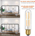 6 Pcs E26 T10 LED Tubular Light Bulbs, 6W Dimmable, Daylight White 4000K, for Pendant Lights, Outdoor Long Light Bulbs