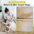 Commercial (32 NORTHWEST ENTERPRISES Multi-Purpose Enzyme Cleaner - Household and Pets Cat Dog Urine and Poop
