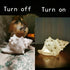 Conch Shell Night Lights USB Powered LED Night Light Sea Shell Lamps Beach Themed Seashell Decor Nightlights for Kids