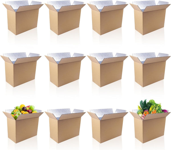 Cevhzoe 12 Pack Insulated Shipping Boxes for Shipping Frozen Food, Cold Shipping Boxes,