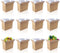 Cevhzoe 12 Pack Insulated Shipping Boxes for Shipping Frozen Food, Cold Shipping Boxes,