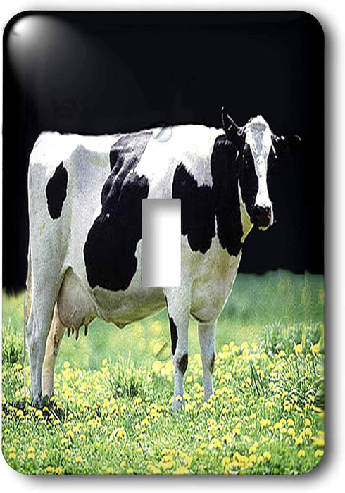 3dRose lsp_624_1 Holstein Cow Single Toggle Switch