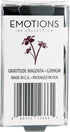 MONTEVERDE Bottle Ink – 30ml, Gratitude Magenta (G309GM)