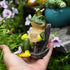 Miniature Frog Garden Statue | Solar Light Home Decor, Fairy Garden Accessories for Patio, Balcony, Yard, Lawn Bedroom