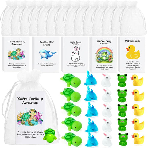 YULYNJQ 100Pack Appreciation Gifts Bulk Inspirational Teacher Dietitian End of Year Gift Gifts,with