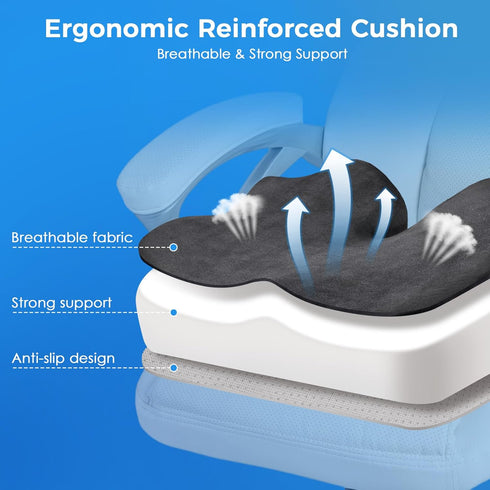 Tailbone Niceeday Seat Cushion for Office Chair & Car - Premium Memory Foam with Ergonomic U-Shape Design - Enhanced
