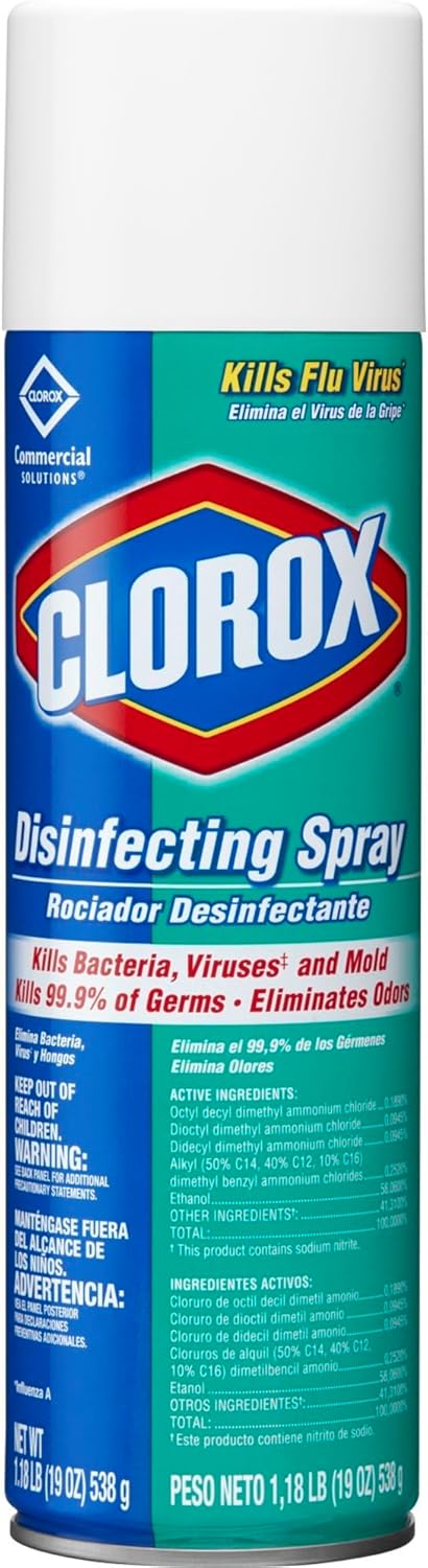 Clorox Disinfectant Spray, 19 Ounce, 1 Each
