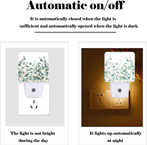 FSHVQKD Eucalyptus Branches and Roses Night Light,Plug-in Nightlights Auto Sensor Night Lamp Dusk to Dawn Lamp Home