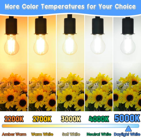 MAXvolador 60W Equivalent E26 LED Filament Light Bulbs, 850LM Daylight White, Non-Dimmable, 4-Pack