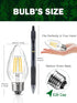F15 6W E26 Bulb, 60 Bulb 2700K, Bulbs 4 Pack LED Equivalent Watt LED Light Soft White Vintage Edison for Front Porch