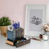 Tosnail Decorative Pen Holder with Storage Drawer, Wooden Pencil Holder and Organizer, Antique Library Books Design Pen