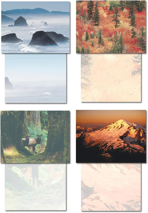 Blank Cards and Envelopes Set, Leanin' Tree, 5x7, 20 Note Cards with Stunning Pacific Northwest Photos