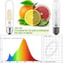 5 Inch Bulb, 5000K E26 Bulb 6W Dimmable, 800LM T10 T9 Bulbs, 120V 80 Bulbs 4Pack Edison Daylight White Led Clear Glass