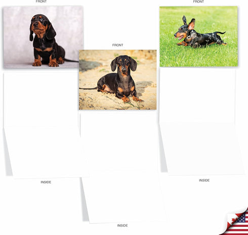The Best Card Company - 10 Adorable Blank Dog Cards, Assorted Pet Breeds, Boxed Set