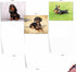 The Best Card Company - 10 Adorable Blank Dog Cards, Assorted Pet Breeds, Boxed Set
