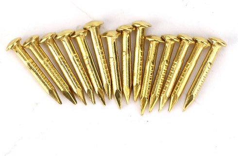 Brass Escutcheon Tacks, Round Head Nail Furniture Hinge Hardware Assortment Kit, 100Pcs 10mm Upholstery Tack Metal