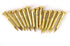 Brass Escutcheon Tacks, Round Head Nail Furniture Hinge Hardware Assortment Kit, 100Pcs 10mm Upholstery Tack Metal