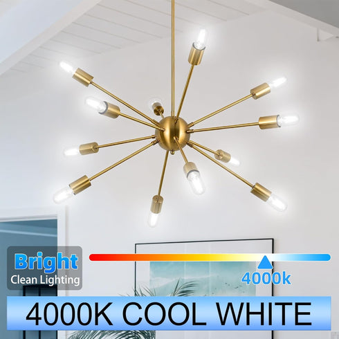 E12 Bulb Dimmable, 6W (60W 600LM Bulb, 4000K, 90+ T6/T25 12 Pack GvvooHome Candelabra Equivalent), LED Neutral White