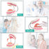 6 RONTEN Dental Teeth Care Model-Mouth Model for Speech Therapy, Enlarged Times Standard Size, for Both Dental