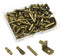 WISSXNA 100Pcs Shelf Pegs for Shelves, 4 Styles Shelf Pins Kitchen Cabinet Shelf