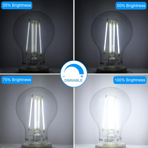 Energetic Dimmable LED Filament Light Bulbs, 8W, 60 Watt Equivalent, Daylight 5000K, Classic Clear Glass, 6 Pack