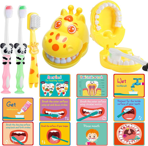 Skylety 2 Set Dentist Play Set Dental Teeth Model with Toothbrush Educational