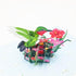 Hummingbird Pop Up Birthday Greeting Card - Great Gift for Birthday, Thanksgiving, Anniversary, Valentine's Day, Kids