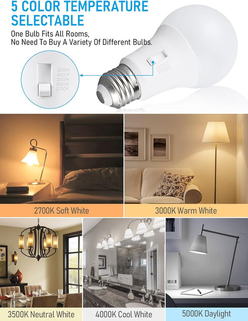 TORCHSTAR A19 LED Light Bulb 60W Equivalent, 5CCT Dimmable Standard Light Bulbs, E26 Base, 2700K 3000K 3500K 4000K 5000K Selectable, LED Edison Vintage Light Bulbs, 800LM, UL FCC Listed, Pack of 2 by TORCHSTAR