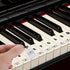 PEOVLVN 88/76/61/54/49 Piano Keyboard Stickers, Transparent Removable Piano Key Labels Stickers Notes Guide for Keys