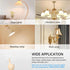 A19 3-Color LED Light Bulbs, Warm White, Daylight, Natural White, 9W (60 Watt Equivalent), 800 Lumen, E26 Base, 4 Pack