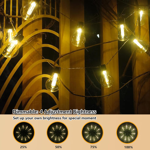 6.5Ft 10 Vintage Christmas Lights Battery Powered LED Edison Hanging Lights with Remote Timer, Indoor Fairy Lights