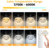 HOMEAN 222 800LM, 3 Solar Shed Light Otudoor - Solar Pendant Light Indoor Outdoor with LED Modes Motion Sensor