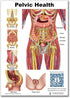 A4 Blue Tree Publishing Pelvic Health and Pelvic floor Charts size with interactive QR codes that link to animations