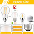 Dimmable E26 G16.5 Bulb 40W 4W Bulbs,Small Bulbs Bulb 2700K 400LM,Pack 2 LED Light Equal Frosted Globe Light Round