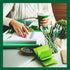 St. Patrick's Day Pencils Shamrock Clover Novelty Stripe Pencils with Eraser, 50 Pieces