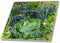 3dRose Cabbage and Kale in a Neighborhood Garden 12 Inch Ceramic Tile