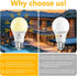 4 Pack A19 Bulbs 60W 9W, Bulb, Bulb 2700K,E26 DAYBETTER Dusk to Dawn Light Outdoor, Equivalent, Energy Efficient Light