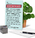 NobleWorks Cute Pregnancy Baby Card with Envelope - Funny Newborn Congrats Card C6355BBG