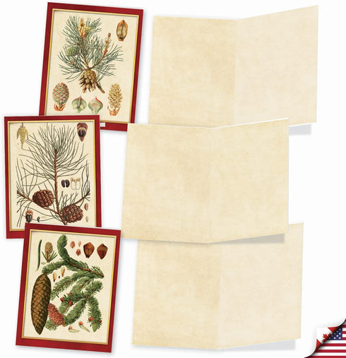 The Best Card Company Variety Pack of 10 Blank Christmas Greeting Cards with Envelopes - Humor Holiday Assortment (10