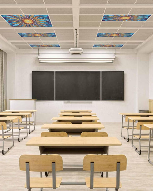 Futuregrace Ceiling,4 Pack 4x2 Magnetic Light Cover for Classroom Drop Ft Abstract Sun Flame Colorful Texture