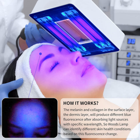 Portable Facial Skin Analyzer with Shade Cloth