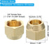 PATIKIL 3/4" Brass Flare Nut, 2 Pcs SAE 45 Degree Copper Flare Tube Fitting for Air Conditioner Water Gas Line