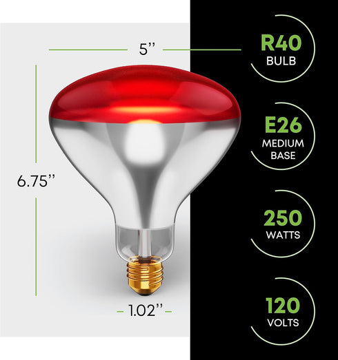 250 R40 Bulbs (2-Pack) Bulb 2,000 E26 120V W att Incandescent Light - Bathroom Infrared Heat Lamp for Chickens Chicks
